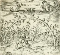 Picture 51 of 106 from Georgiae Montaneae, nobilis Gallae, Emblematvm Christianorvm centvria : cum eorundem Latina interpretatione = Cent emblemes chrestiens (1584), leaf 206