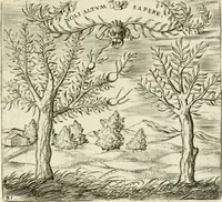 An illustration from Georgiae Montaneae, nobilis Gallae, Emblematvm Christianorvm centvria : cum eorundem Latina interpretatione = Cent emblemes chrestiens (1584)