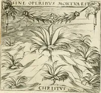 An illustration from Georgiae Montaneae, nobilis Gallae, Emblematvm Christianorvm centvria : cum eorundem Latina interpretatione = Cent emblemes chrestiens (1584)