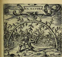 Picture 48 of 97 from Georgiae Montaneae, nobilis Gallae, Emblematum christianorum centuria : cum eorundem latina interpretatione = Cent emblemes chrestiens (1584), leaf 108