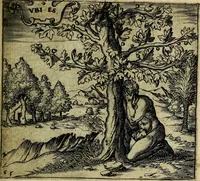 An illustration from Georgiae Montaneae, nobilis Gallae, Emblematum christianorum centuria : cum eorundem latina interpretatione = Cent emblemes chrestiens (1584)