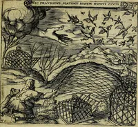 An illustration from Georgiae Montaneae, nobilis Gallae, Emblematum christianorum centuria : cum eorundem latina interpretatione = Cent emblemes chrestiens (1584)