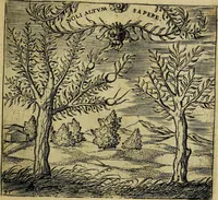 An illustration from Georgiae Montaneae, nobilis Gallae, Emblematum christianorum centuria : cum eorundem latina interpretatione = Cent emblemes chrestiens (1584)