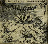 Picture 11 of 97 from Georgiae Montaneae, nobilis Gallae, Emblematum christianorum centuria : cum eorundem latina interpretatione = Cent emblemes chrestiens (1584), leaf 34