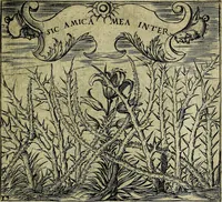 An illustration from Georgiae Montaneae, nobilis Gallae, Emblematum christianorum centuria : cum eorundem latina interpretatione = Cent emblemes chrestiens (1584)