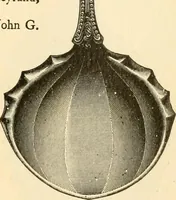 Picture 155 of 163 from Georgian : a pattern of spoons, forks and all other pieces of table flat ware is partly shown in this book, in which is also given an account of the chief events of the War of the Revolution and the acts of oppression which preceded and provoked it ; to which are added sundry pictures of places and things identified with this momentous conflict ... (1899), leaf 105
