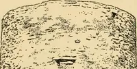 An illustration from Georgian : a pattern of spoons, forks and all other pieces of table flat ware is partly shown in this book, in which is also given an account of the chief events of the War of the Revolution and the acts of oppression which preceded and provoked it ; to which are added sundry pictures of places and things identified with this momentous conflict ... (1899)