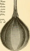 Picture 127 of 163 from Georgian : a pattern of spoons, forks and all other pieces of table flat ware is partly shown in this book, in which is also given an account of the chief events of the War of the Revolution and the acts of oppression which preceded and provoked it ; to which are added sundry pictures of places and things identified with this momentous conflict ... (1899), leaf 91
