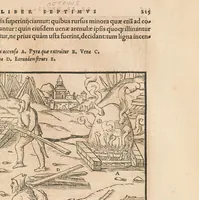 An illustration from Georgii Agricolae De re metallica libri XII quibus officia, instrumenta, machinae, ac omnia deni[que] ad metallicam spectantia, non modo luculentissimè describuntur, sed & per effigies, suis locis insertas, adiunctis latinis, germanicis[que] appellationibus ita ob oculos ponuntur, ut clarius tradi non possint : eiusdem de animantibus subterraneis liber, ab autore recognitus, cum indicibus diuersis, quicquid in opere tractatum est, pulchrè demonstrantibus (1556)