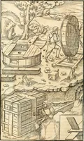 Picture 108 of 293 from Georgii Agricolae De re metallica libri XII. qvibus officia, instrumenta, machinae, ac omnia deni ad metallicam spectantia, non modo luculentissimè describuntur, sed & per effigies, suis locis insertas, adiunctis latinis, germanicis appellationibus ita ob oculos ponuntur, ut clarius tradi non possint. Eivsdem De animantibvs svbterraneis liber, ab autore recognitus: cum indicibus diuersis, quicqiuid in opere tractatum est, pulchré demonstrantibus (1556), leaf 181