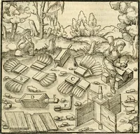 Picture 111 of 293 from Georgii Agricolae De re metallica libri XII. qvibus officia, instrumenta, machinae, ac omnia deni ad metallicam spectantia, non modo luculentissimè describuntur, sed & per effigies, suis locis insertas, adiunctis latinis, germanicis appellationibus ita ob oculos ponuntur, ut clarius tradi non possint. Eivsdem De animantibvs svbterraneis liber, ab autore recognitus: cum indicibus diuersis, quicqiuid in opere tractatum est, pulchré demonstrantibus (1556), leaf 184