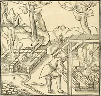 Picture 136 of 293 from Georgii Agricolae De re metallica libri XII. qvibus officia, instrumenta, machinae, ac omnia deni ad metallicam spectantia, non modo luculentissimè describuntur, sed & per effigies, suis locis insertas, adiunctis latinis, germanicis appellationibus ita ob oculos ponuntur, ut clarius tradi non possint. Eivsdem De animantibvs svbterraneis liber, ab autore recognitus: cum indicibus diuersis, quicqiuid in opere tractatum est, pulchré demonstrantibus (1556), leaf 233