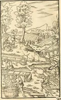 An illustration from Georgii Agricolae De re metallica libri XII. qvibus officia, instrumenta, machinae, ac omnia deni ad metallicam spectantia, non modo luculentissimè describuntur, sed & per effigies, suis locis insertas, adiunctis latinis, germanicis appellationibus ita ob oculos ponuntur, ut clarius tradi non possint. Eivsdem De animantibvs svbterraneis liber, ab autore recognitus: cum indicibus diuersis, quicqiuid in opere tractatum est, pulchré demonstrantibus (1556)