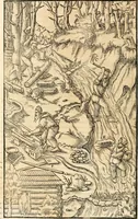 Picture 183 of 293 from Georgii Agricolae De re metallica libri XII. qvibus officia, instrumenta, machinae, ac omnia deni ad metallicam spectantia, non modo luculentissimè describuntur, sed & per effigies, suis locis insertas, adiunctis latinis, germanicis appellationibus ita ob oculos ponuntur, ut clarius tradi non possint. Eivsdem De animantibvs svbterraneis liber, ab autore recognitus: cum indicibus diuersis, quicqiuid in opere tractatum est, pulchré demonstrantibus (1556), leaf 289