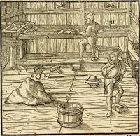 An illustration from Georgii Agricolae De re metallica libri XII. qvibus officia, instrumenta, machinae, ac omnia deni ad metallicam spectantia, non modo luculentissimè describuntur, sed & per effigies, suis locis insertas, adiunctis latinis, germanicis appellationibus ita ob oculos ponuntur, ut clarius tradi non possint. Eivsdem De animantibvs svbterraneis liber, ab autore recognitus: cum indicibus diuersis, quicqiuid in opere tractatum est, pulchré demonstrantibus (1556)