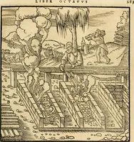 Picture 194 of 293 from Georgii Agricolae De re metallica libri XII. qvibus officia, instrumenta, machinae, ac omnia deni ad metallicam spectantia, non modo luculentissimè describuntur, sed & per effigies, suis locis insertas, adiunctis latinis, germanicis appellationibus ita ob oculos ponuntur, ut clarius tradi non possint. Eivsdem De animantibvs svbterraneis liber, ab autore recognitus: cum indicibus diuersis, quicqiuid in opere tractatum est, pulchré demonstrantibus (1556), leaf 302