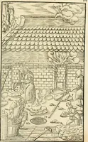 An illustration from Georgii Agricolae De re metallica libri XII. qvibus officia, instrumenta, machinae, ac omnia deni ad metallicam spectantia, non modo luculentissimè describuntur, sed & per effigies, suis locis insertas, adiunctis latinis, germanicis appellationibus ita ob oculos ponuntur, ut clarius tradi non possint. Eivsdem De animantibvs svbterraneis liber, ab autore recognitus: cum indicibus diuersis, quicqiuid in opere tractatum est, pulchré demonstrantibus (1556)