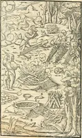 An illustration from Georgii Agricolae De re metallica libri XII. qvibus officia, instrumenta, machinae, ac omnia deni ad metallicam spectantia, non modo luculentissimè describuntur, sed & per effigies, suis locis insertas, adiunctis latinis, germanicis appellationibus ita ob oculos ponuntur, ut clarius tradi non possint. Eivsdem De animantibvs svbterraneis liber, ab autore recognitus: cum indicibus diuersis, quicqiuid in opere tractatum est, pulchré demonstrantibus (1556)