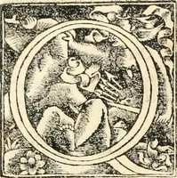 An illustration from Georgii Agricolae De re metallica libri XII. qvibus officia, instrumenta, machinae, ac omnia deni ad metallicam spectantia, non modo luculentissimè describuntur, sed & per effigies, suis locis insertas, adiunctis latinis, germanicis appellationibus ita ob oculos ponuntur, ut clarius tradi non possint. Eivsdem De animantibvs svbterraneis liber, ab autore recognitus: cum indicibus diuersis, quicqiuid in opere tractatum est, pulchré demonstrantibus (1556)