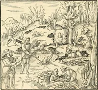 Picture 6 of 293 from Georgii Agricolae De re metallica libri XII. qvibus officia, instrumenta, machinae, ac omnia deni ad metallicam spectantia, non modo luculentissimè describuntur, sed & per effigies, suis locis insertas, adiunctis latinis, germanicis appellationibus ita ob oculos ponuntur, ut clarius tradi non possint. Eivsdem De animantibvs svbterraneis liber, ab autore recognitus: cum indicibus diuersis, quicqiuid in opere tractatum est, pulchré demonstrantibus (1556), leaf 43