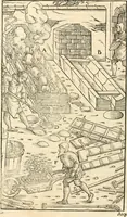 Picture 256 of 293 from Georgii Agricolae De re metallica libri XII. qvibus officia, instrumenta, machinae, ac omnia deni ad metallicam spectantia, non modo luculentissimè describuntur, sed & per effigies, suis locis insertas, adiunctis latinis, germanicis appellationibus ita ob oculos ponuntur, ut clarius tradi non possint. Eivsdem De animantibvs svbterraneis liber, ab autore recognitus: cum indicibus diuersis, quicqiuid in opere tractatum est, pulchré demonstrantibus (1556), leaf 437