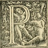 An illustration from Georgii Agricolae De re metallica libri XII. qvibus officia, instrumenta, machinae, ac omnia deni ad metallicam spectantia, non modo luculentissimè describuntur, sed & per effigies, suis locis insertas, adiunctis latinis, germanicis appellationibus ita ob oculos ponuntur, ut clarius tradi non possint. Eivsdem De animantibvs svbterraneis liber, ab autore recognitus: cum indicibus diuersis, quicqiuid in opere tractatum est, pulchré demonstrantibus (1556)