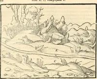 Picture 9 of 293 from Georgii Agricolae De re metallica libri XII. qvibus officia, instrumenta, machinae, ac omnia deni ad metallicam spectantia, non modo luculentissimè describuntur, sed & per effigies, suis locis insertas, adiunctis latinis, germanicis appellationibus ita ob oculos ponuntur, ut clarius tradi non possint. Eivsdem De animantibvs svbterraneis liber, ab autore recognitus: cum indicibus diuersis, quicqiuid in opere tractatum est, pulchré demonstrantibus (1556), leaf 45