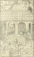 Picture 264 of 293 from Georgii Agricolae De re metallica libri XII. qvibus officia, instrumenta, machinae, ac omnia deni ad metallicam spectantia, non modo luculentissimè describuntur, sed & per effigies, suis locis insertas, adiunctis latinis, germanicis appellationibus ita ob oculos ponuntur, ut clarius tradi non possint. Eivsdem De animantibvs svbterraneis liber, ab autore recognitus: cum indicibus diuersis, quicqiuid in opere tractatum est, pulchré demonstrantibus (1556), leaf 453