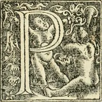 An illustration from Georgii Agricolae De re metallica libri XII. qvibus officia, instrumenta, machinae, ac omnia deni ad metallicam spectantia, non modo luculentissimè describuntur, sed & per effigies, suis locis insertas, adiunctis latinis, germanicis appellationibus ita ob oculos ponuntur, ut clarius tradi non possint. Eivsdem De animantibvs svbterraneis liber, ab autore recognitus: cum indicibus diuersis, quicqiuid in opere tractatum est, pulchré demonstrantibus (1556)