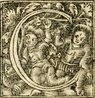 An illustration from Georgii Agricolae De re metallica libri XII. qvibus officia, instrumenta, machinae, ac omnia deni ad metallicam spectantia, non modo luculentissimè describuntur, sed & per effigies, suis locis insertas, adiunctis latinis, germanicis appellationibus ita ob oculos ponuntur, ut clarius tradi non possint. Eivsdem De animantibvs svbterraneis liber, ab autore recognitus: cum indicibus diuersis, quicqiuid in opere tractatum est, pulchré demonstrantibus (1556)