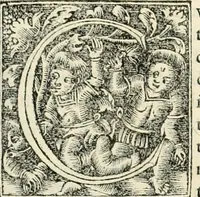 An illustration from Georgii Agricolae De re metallica libri XII. qvibus officia, instrumenta, machinae, ac omnia deni ad metallicam spectantia, non modo luculentissimè describuntur, sed & per effigies, suis locis insertas, adiunctis latinis, germanicis appellationibus ita ob oculos ponuntur, ut clarius tradi non possint. Eivsdem De animantibvs svbterraneis liber, ab autore recognitus: cum indicibus diuersis, quicqiuid in opere tractatum est, pulchré demonstrantibus (1556)