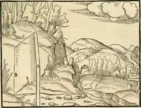 Picture 36 of 293 from Georgii Agricolae De re metallica libri XII. qvibus officia, instrumenta, machinae, ac omnia deni ad metallicam spectantia, non modo luculentissimè describuntur, sed & per effigies, suis locis insertas, adiunctis latinis, germanicis appellationibus ita ob oculos ponuntur, ut clarius tradi non possint. Eivsdem De animantibvs svbterraneis liber, ab autore recognitus: cum indicibus diuersis, quicqiuid in opere tractatum est, pulchré demonstrantibus (1556), leaf 64