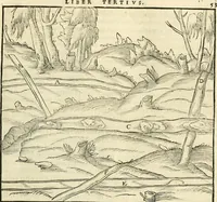 Picture 41 of 293 from Georgii Agricolae De re metallica libri XII. qvibus officia, instrumenta, machinae, ac omnia deni ad metallicam spectantia, non modo luculentissimè describuntur, sed & per effigies, suis locis insertas, adiunctis latinis, germanicis appellationibus ita ob oculos ponuntur, ut clarius tradi non possint. Eivsdem De animantibvs svbterraneis liber, ab autore recognitus: cum indicibus diuersis, quicqiuid in opere tractatum est, pulchré demonstrantibus (1556), leaf 68