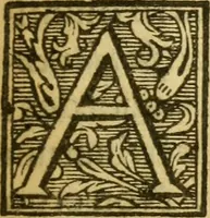 An illustration from Georgii Pasoris ... Grammatica Græca sacra Novi Testamenti ... in tres libros tributa .. (1655)
