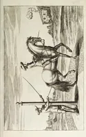 An illustration from Georgii Simonis Winteri, Bellerophon, sive, Eques peritus : hoc est, artis equestris accuratissima institutio : opere bipartito, seu duobus libris, absoluta .. (1678)
