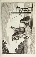 An illustration from Georgii Simonis Winteri, Bellerophon, sive, Eques peritus : hoc est, artis equestris accuratissima institutio : opere bipartito, seu duobus libris, absoluta .. (1678)