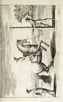 An illustration from Georgii Simonis Winteri, Bellerophon, sive, Eques peritus : hoc est, artis equestris accuratissima institutio : opere bipartito, seu duobus libris, absoluta .. (1678)