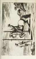 Picture 12 of 32 from Georgii Simonis Winteri, Bellerophon, sive, Eques peritus : hoc est, artis equestris accuratissima institutio : opere bipartito, seu duobus libris, absoluta .. (1678), leaf 147