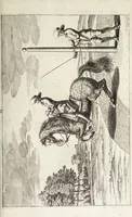 Picture 14 of 32 from Georgii Simonis Winteri, Bellerophon, sive, Eques peritus : hoc est, artis equestris accuratissima institutio : opere bipartito, seu duobus libris, absoluta .. (1678), leaf 159
