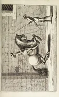 Picture 15 of 32 from Georgii Simonis Winteri, Bellerophon, sive, Eques peritus : hoc est, artis equestris accuratissima institutio : opere bipartito, seu duobus libris, absoluta .. (1678), leaf 169