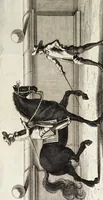 Picture 17 of 32 from Georgii Simonis Winteri, Bellerophon, sive, Eques peritus : hoc est, artis equestris accuratissima institutio : opere bipartito, seu duobus libris, absoluta .. (1678), leaf 177