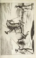Picture 18 of 32 from Georgii Simonis Winteri, Bellerophon, sive, Eques peritus : hoc est, artis equestris accuratissima institutio : opere bipartito, seu duobus libris, absoluta .. (1678), leaf 185