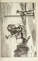Picture 19 of 32 from Georgii Simonis Winteri, Bellerophon, sive, Eques peritus : hoc est, artis equestris accuratissima institutio : opere bipartito, seu duobus libris, absoluta .. (1678), leaf 189