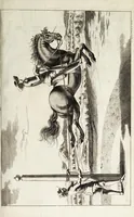 Picture 24 of 32 from Georgii Simonis Winteri, Bellerophon, sive, Eques peritus : hoc est, artis equestris accuratissima institutio : opere bipartito, seu duobus libris, absoluta .. (1678), leaf 217