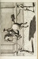 Picture 25 of 32 from Georgii Simonis Winteri, Bellerophon, sive, Eques peritus : hoc est, artis equestris accuratissima institutio : opere bipartito, seu duobus libris, absoluta .. (1678), leaf 231