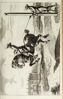Picture 26 of 32 from Georgii Simonis Winteri, Bellerophon, sive, Eques peritus : hoc est, artis equestris accuratissima institutio : opere bipartito, seu duobus libris, absoluta .. (1678), leaf 243