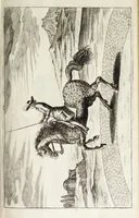 Picture 29 of 32 from Georgii Simonis Winteri, Bellerophon, sive, Eques peritus : hoc est, artis equestris accuratissima institutio : opere bipartito, seu duobus libris, absoluta .. (1678), leaf 275