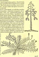 An illustration from Georgi Marcgravi de Liebstad, misnici Germani, Historiæ rerum naturalium Brasiliæ, libri octo ... : Cum appendice de Tapuyis, et Chilensibus. (1648)
