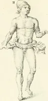An illustration from Germana quaedam antiquitatis eruditae monumenta : quibus Romanorum veterum ritus varii tam sacri quam profani, tum Graecorum atque Aegyptiorum nonnulli illustrantur (1745)