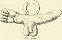An illustration from Germana quaedam antiquitatis eruditae monumenta : quibus Romanorum veterum ritus varii tam sacri quam profani, tum Graecorum atque Aegyptiorum nonnulli illustrantur (1745)